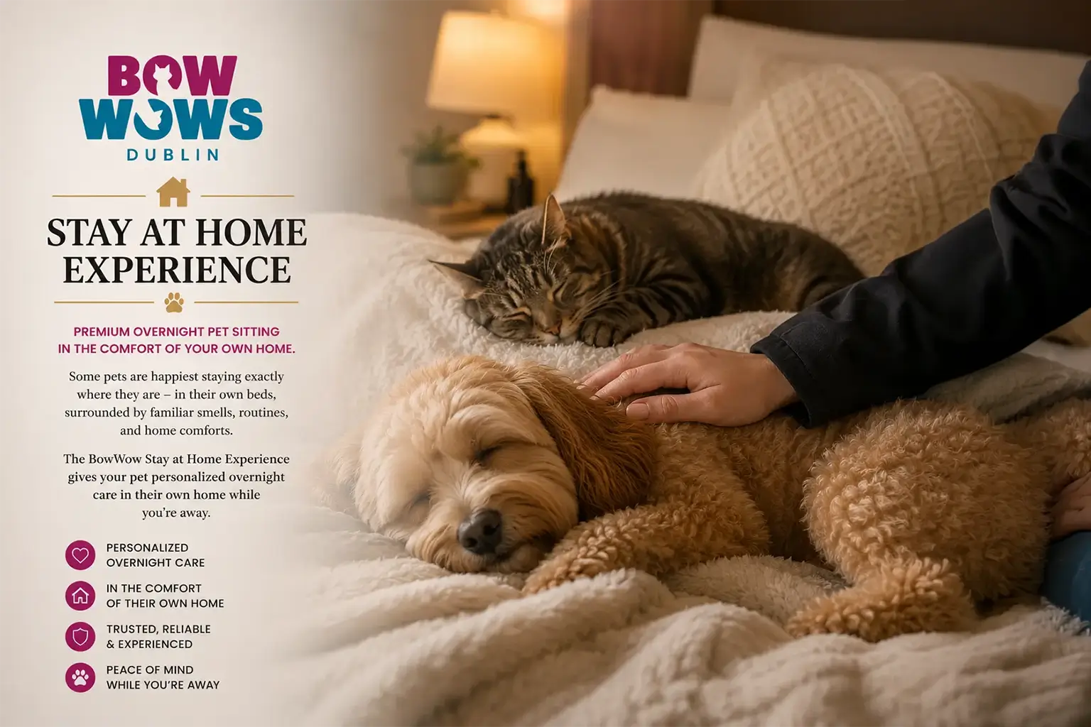 BWD-STAY-AT-HOME